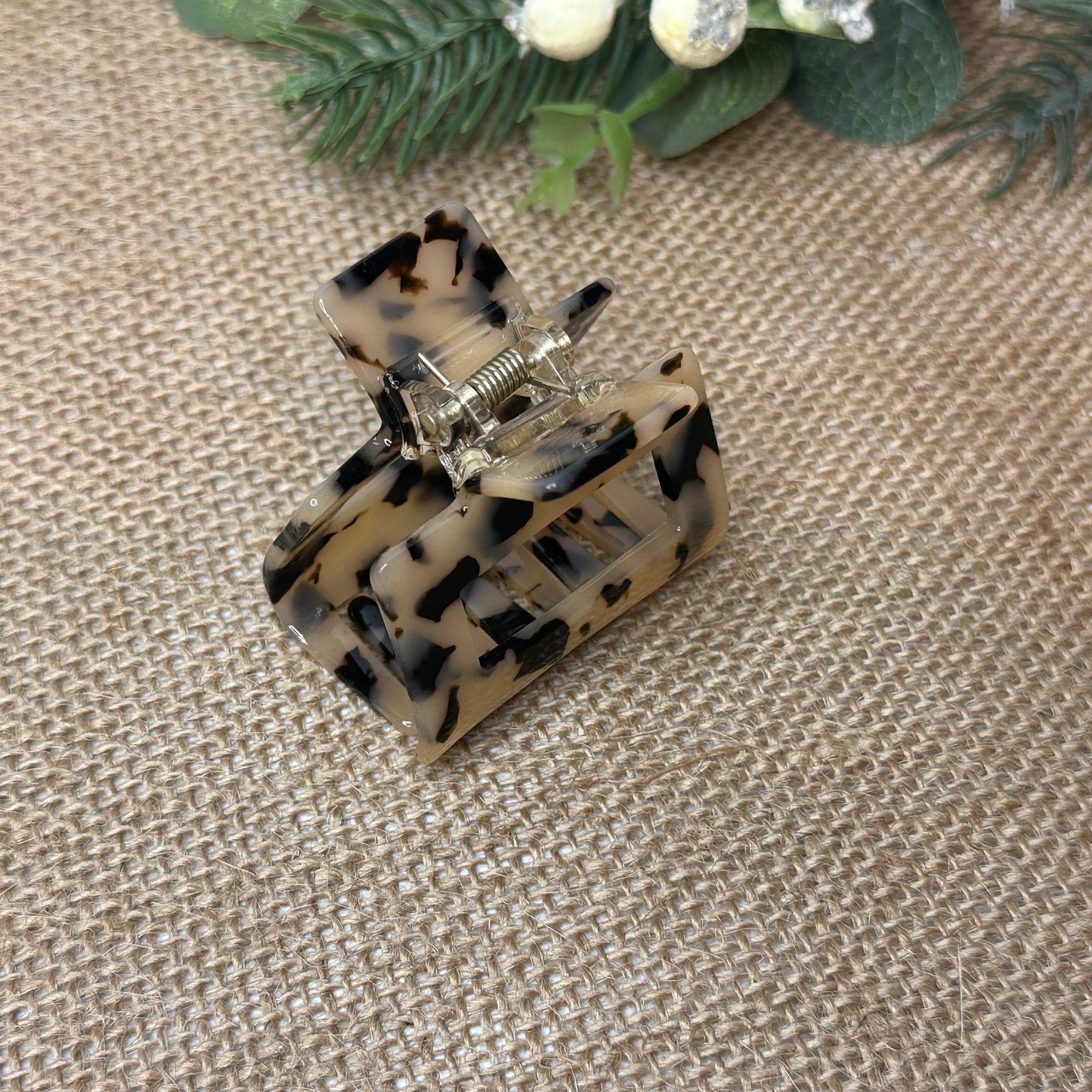 Small Leopard Claw
