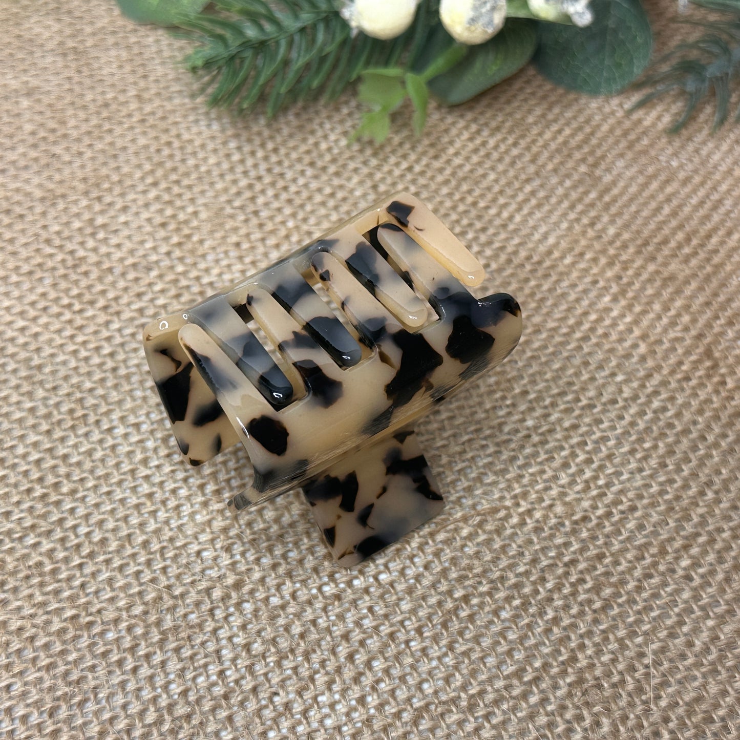Small Leopard Claw