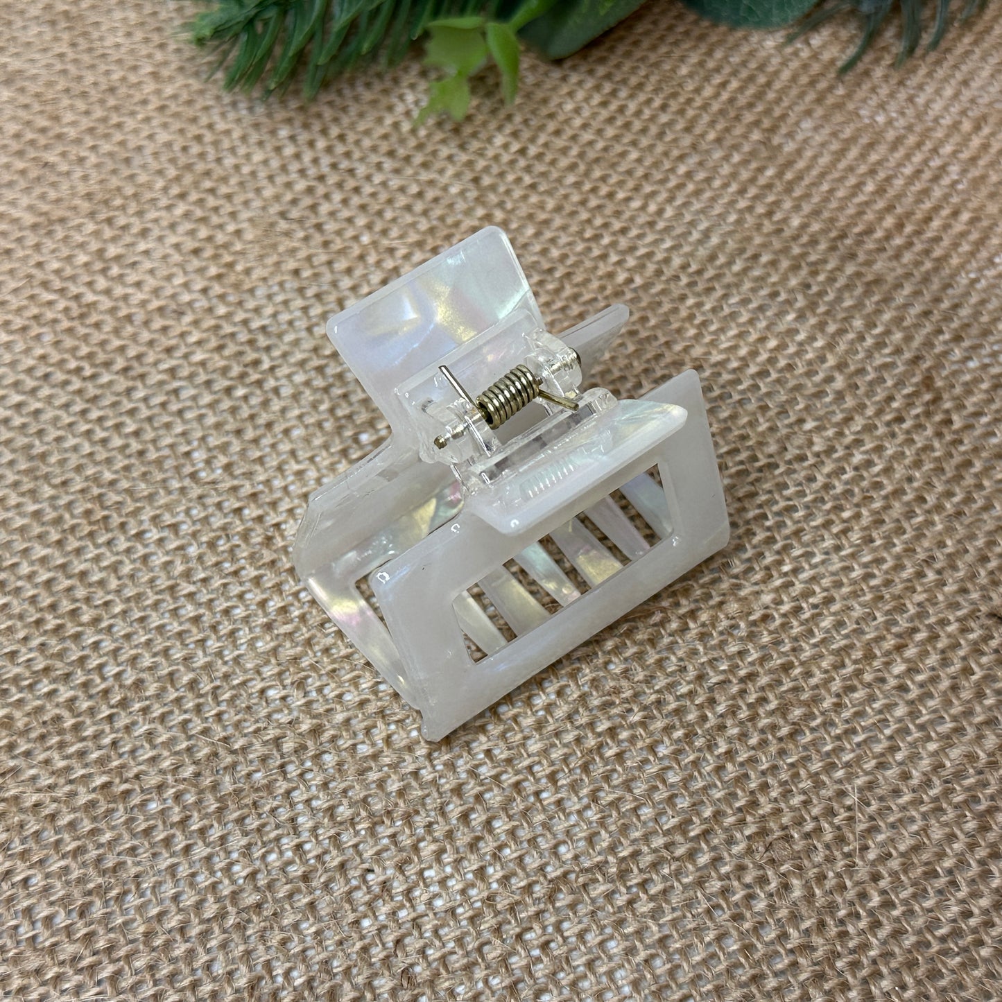 Small Sky Claw