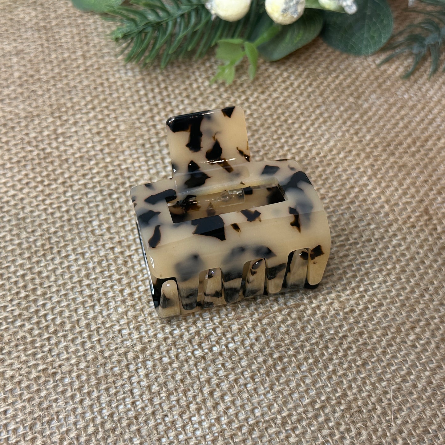 Small Leopard Claw